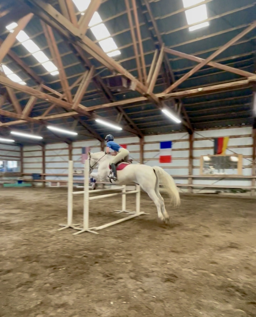 Rebecca & Silver at Blue Cloud Farms, November 2023